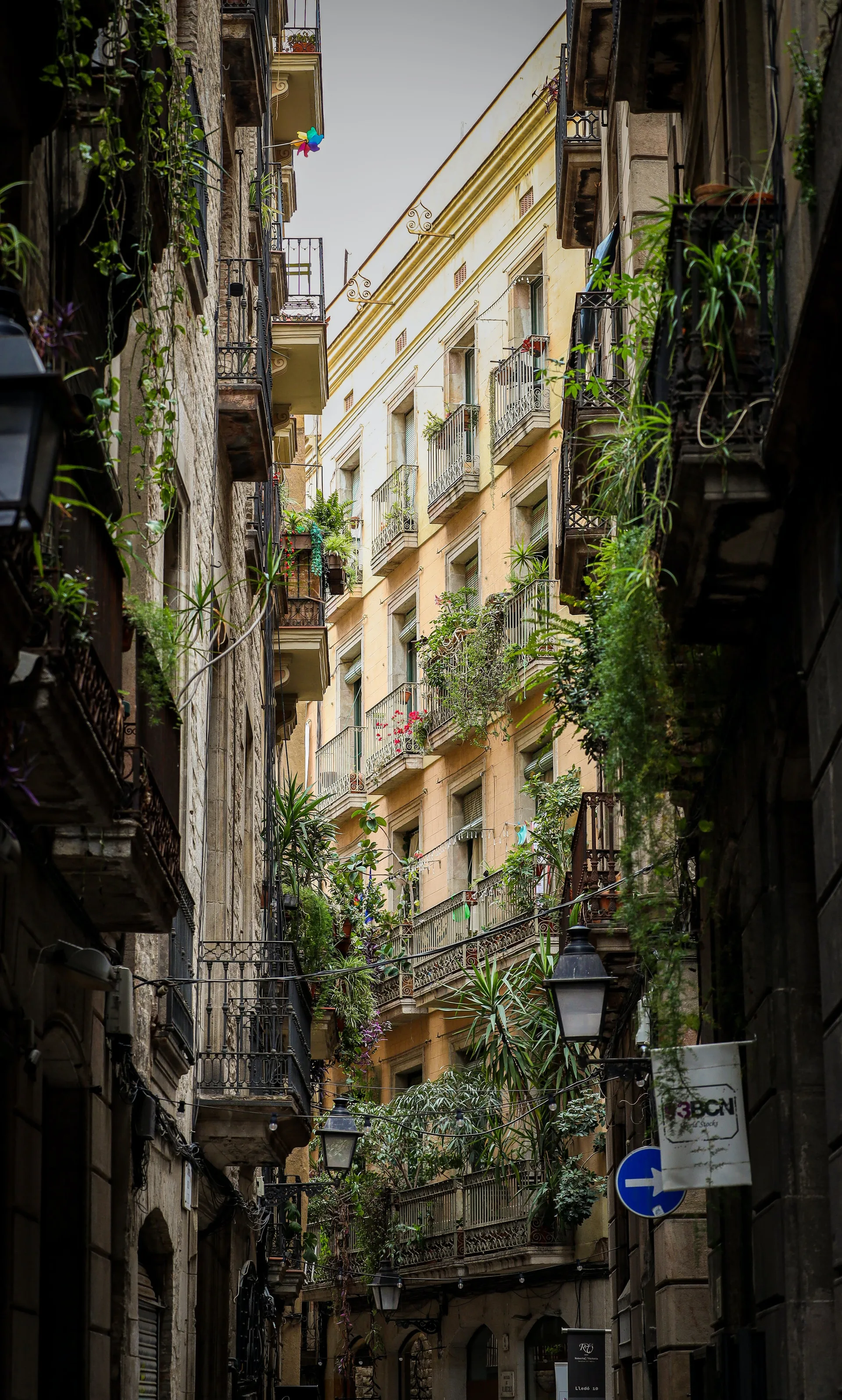 Cost of Living in Barcelona for Students (2026)